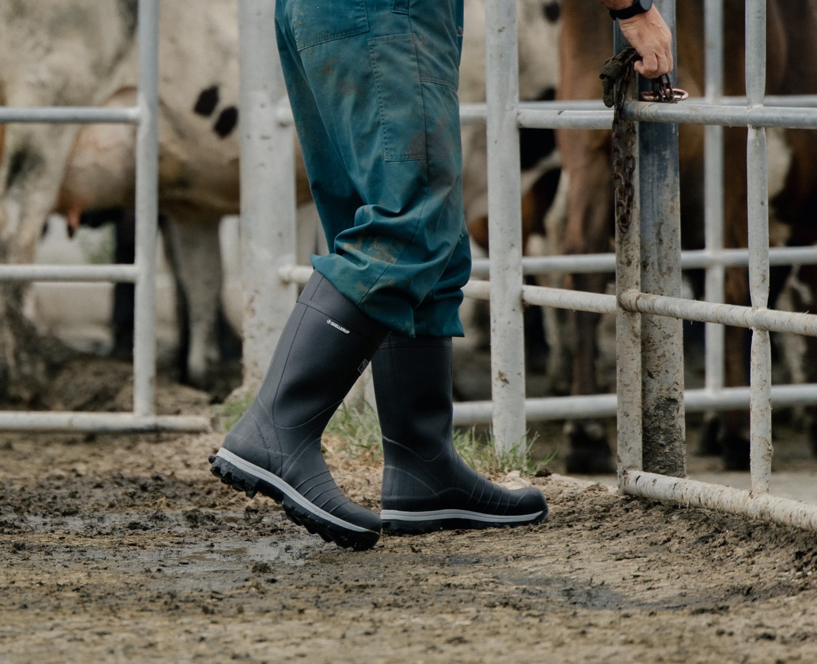 A person in green overalls and black rubber boots is opening a metal gate on a muddy farm, with cows standing behind the fence.