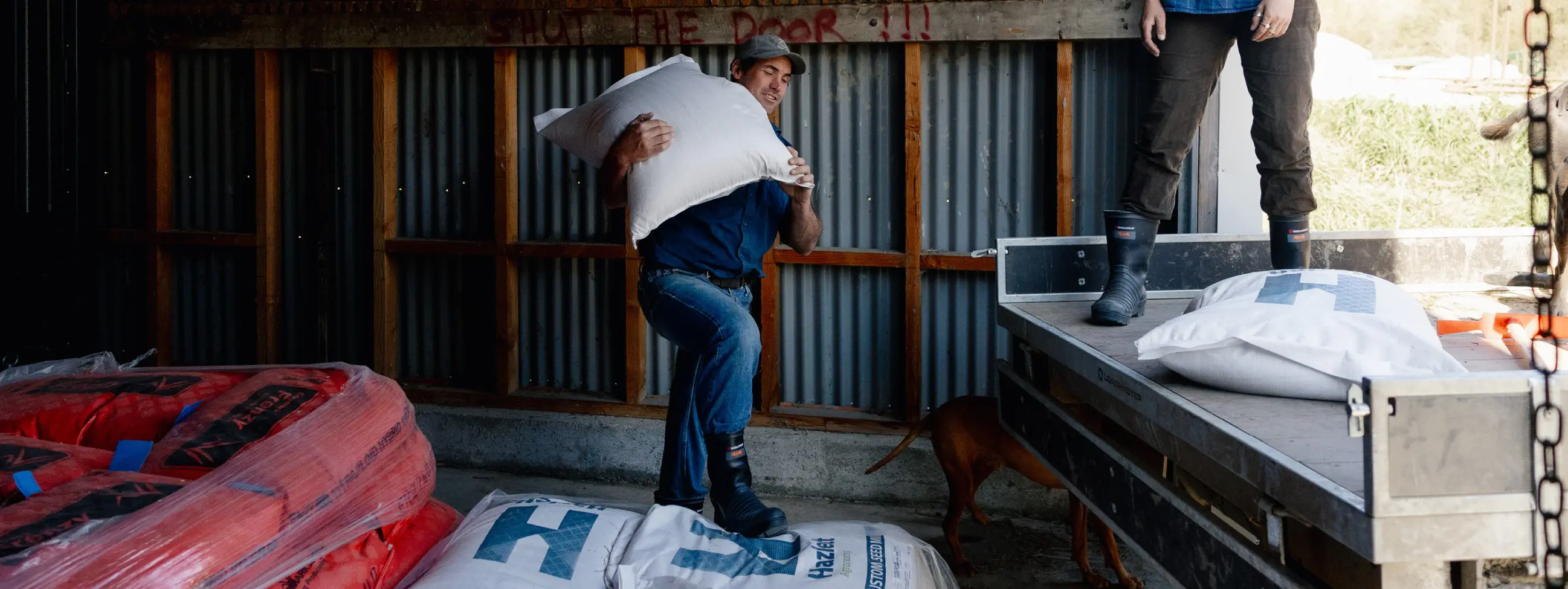 A person wearing a blue shirt and cap lifts a large white sack near a loading area, while another person stands on a platform with bags stacked nearby. A brown dog is partially visible under the platform.