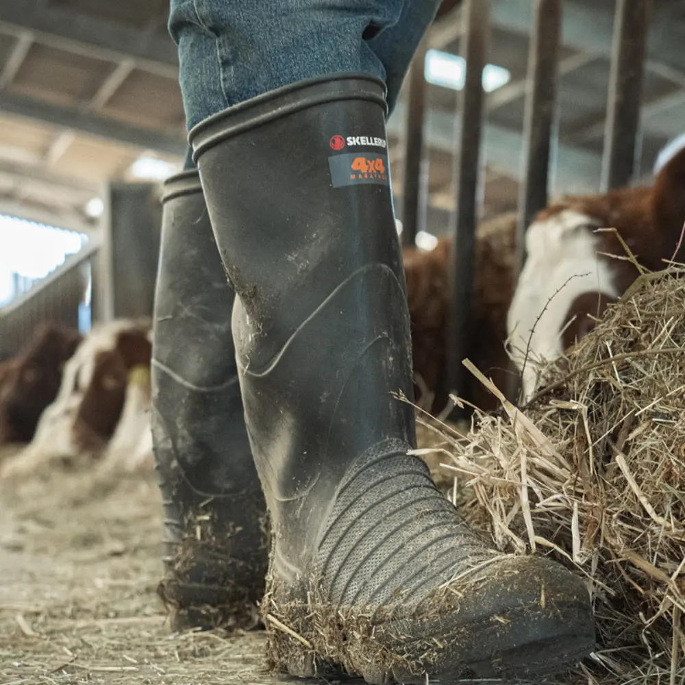 A person wearing muddy black rubber boots and jeans stands on hay in a barn, with cows feeding in the background behind metal bars.