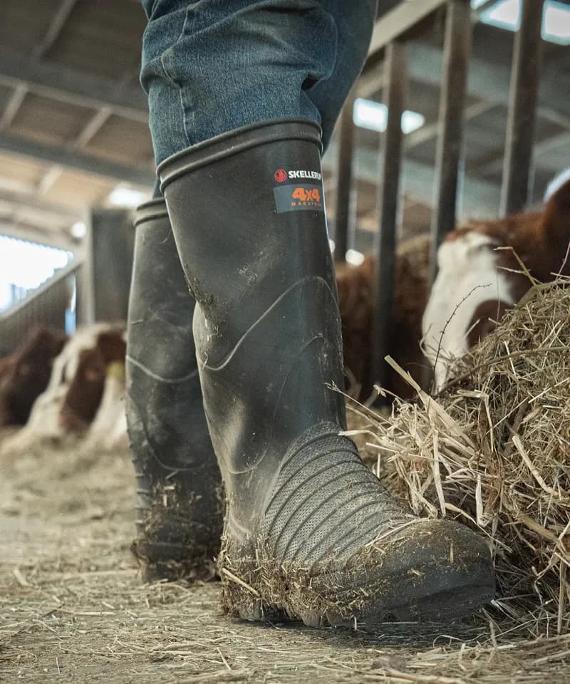 A person wearing muddy black rubber boots and jeans stands on hay in a barn, with cows feeding in the background behind metal bars.