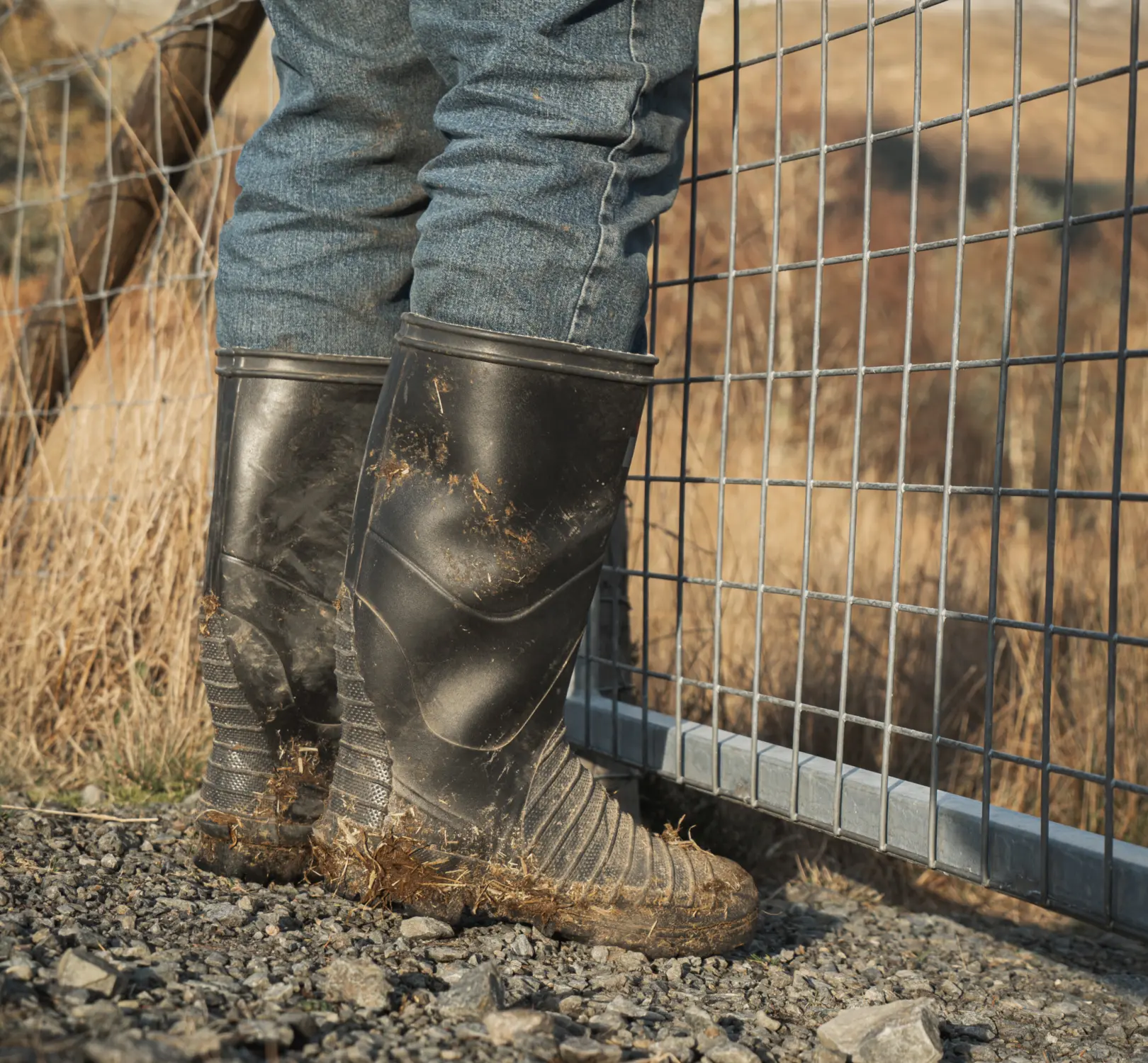 A person in muddy black rubber boots and blue jeans stands on gravel near a metal wire fence, with dry grass and a glimpse of snowy hills in the background.