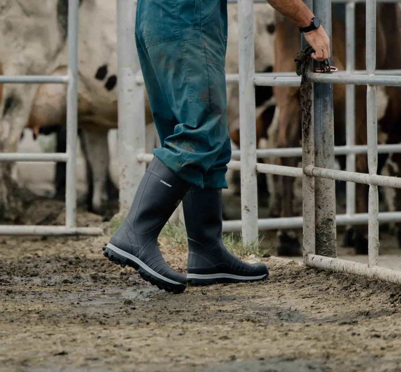 A person in green overalls and black rubber boots is opening a metal gate on a muddy farm, with cows standing behind the fence.