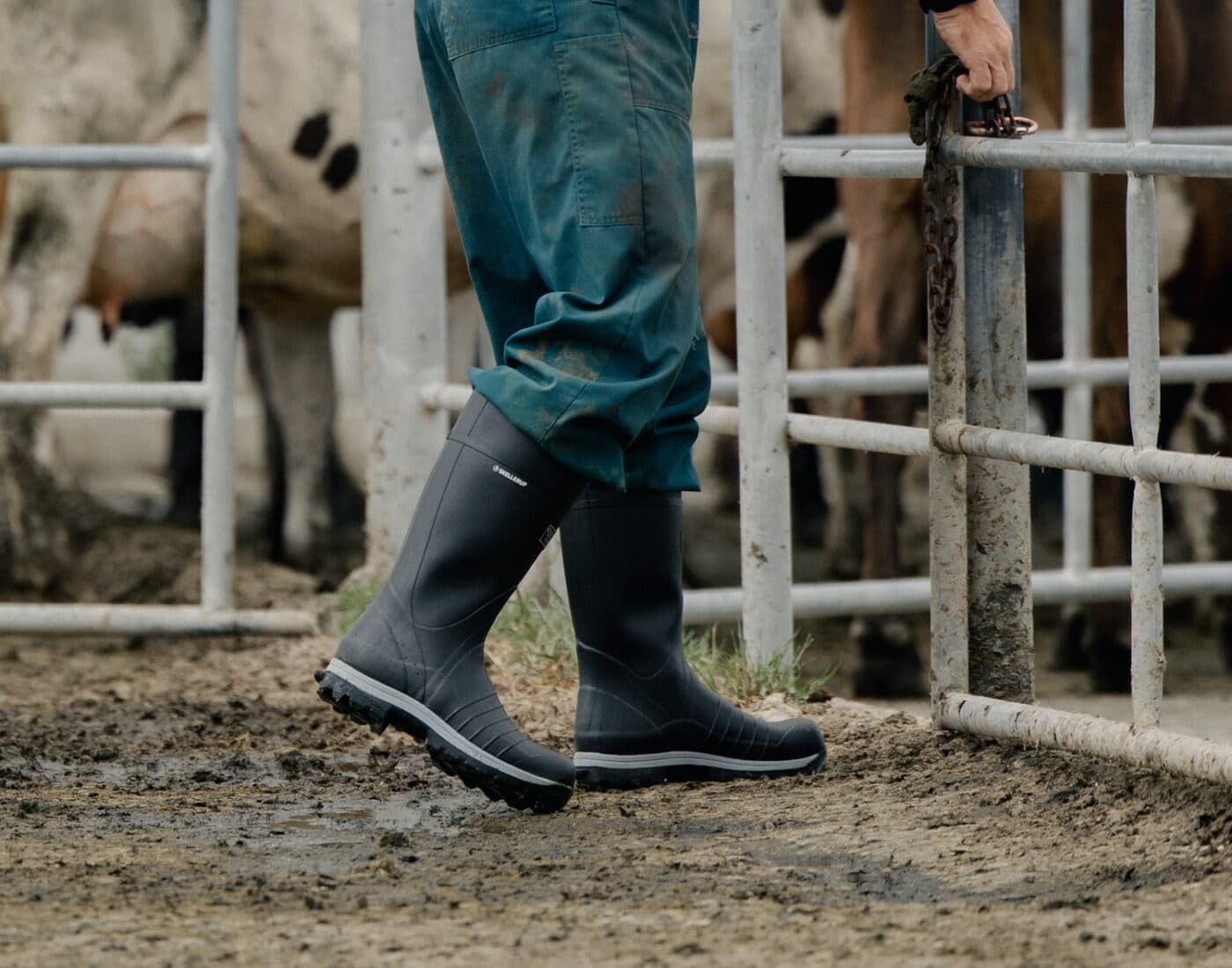 A person in green overalls and black rubber boots is opening a metal gate on a muddy farm, with cows standing behind the fence.