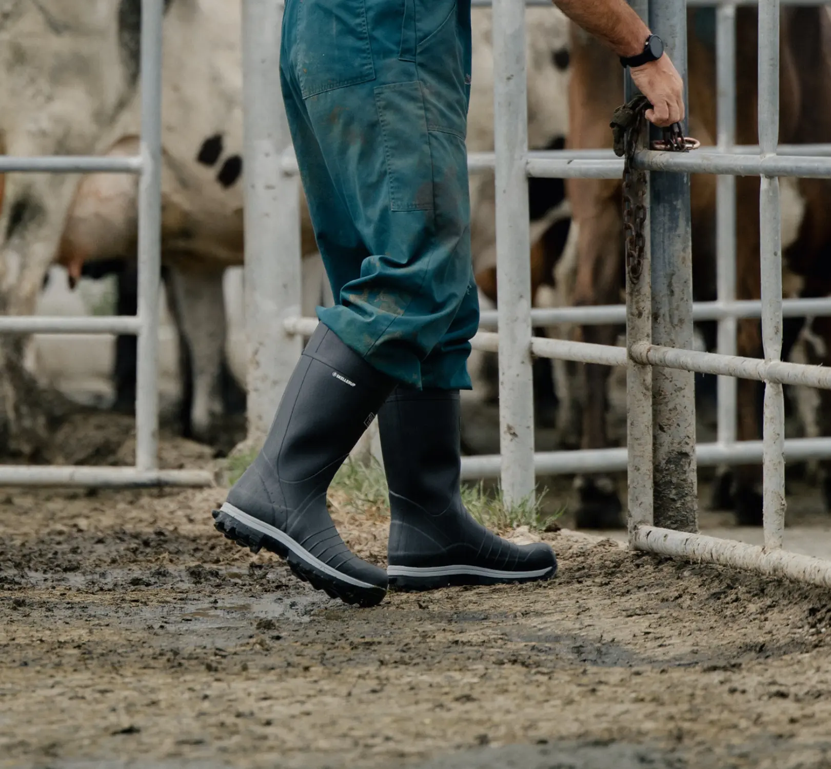 A person in green overalls and black rubber boots is opening a metal gate on a muddy farm, with cows standing behind the fence.