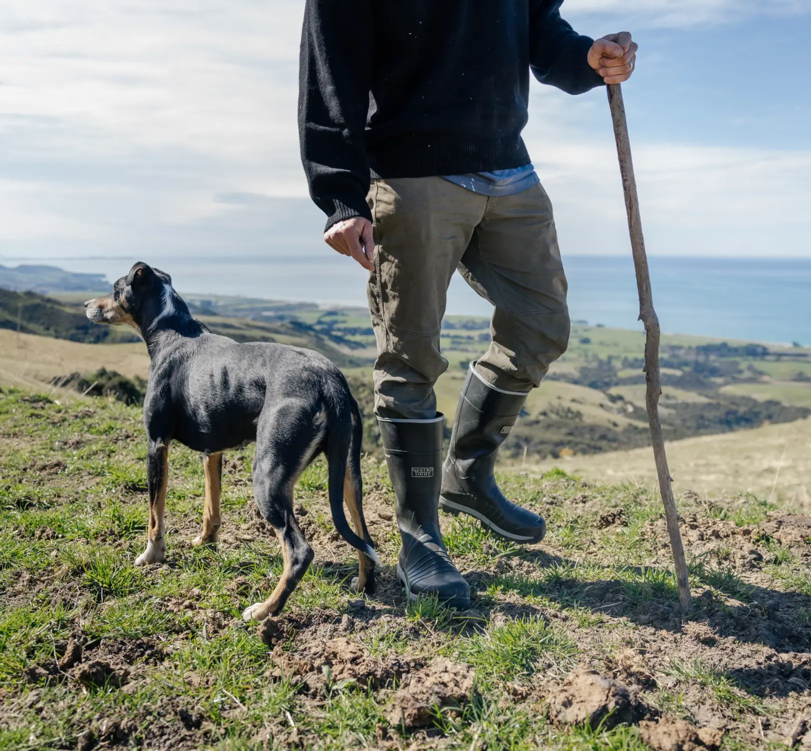A person in boots and outdoor clothes stands on a grassy hill holding a wooden stick, next to a black and tan dog, with a scenic coastline and blue sky in the background.