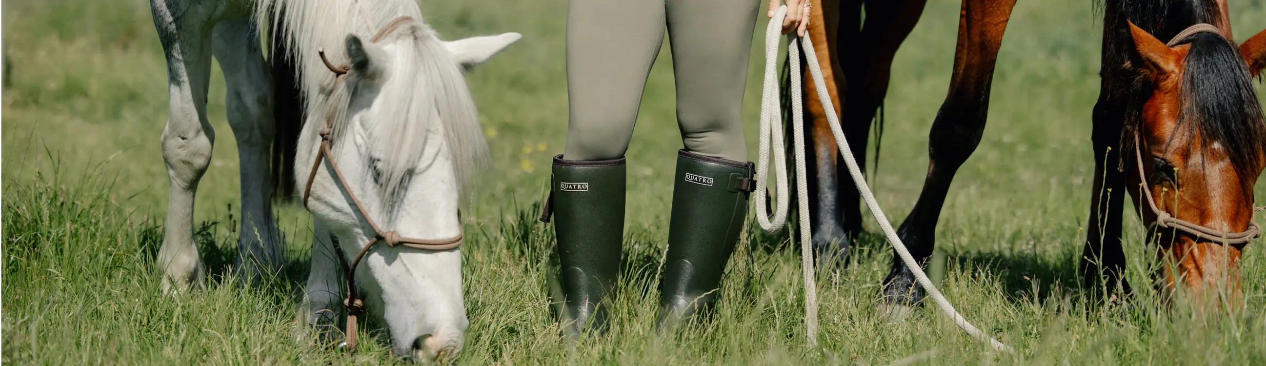 Person wearing green boots standing in a grassy field holding ropes, with a white horse and a brown horse grazing on either side.