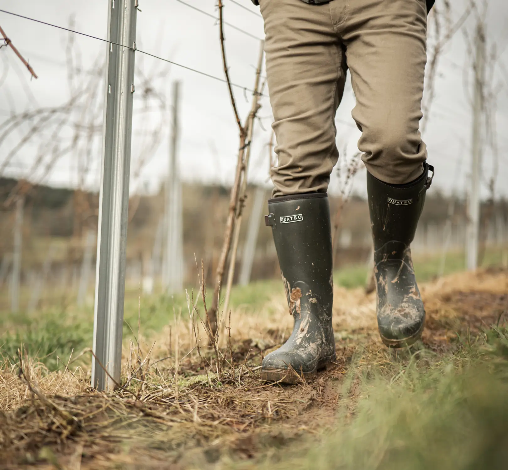 A person wearing muddy black boots and khaki pants walks along a path between vineyard rows, hands in pockets, with bare grapevines and metal posts visible in the background.