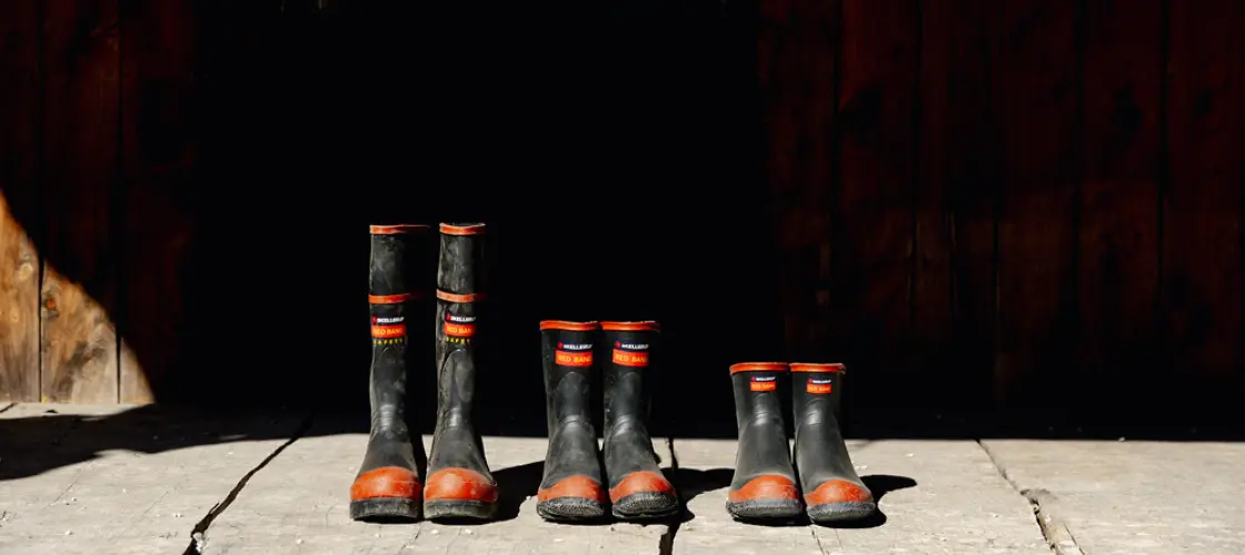 Five pairs of black and red rubber boots, ranging from large to small, stand in a row on a wooden floor against a dark wooden wall, illuminated by sunlight.