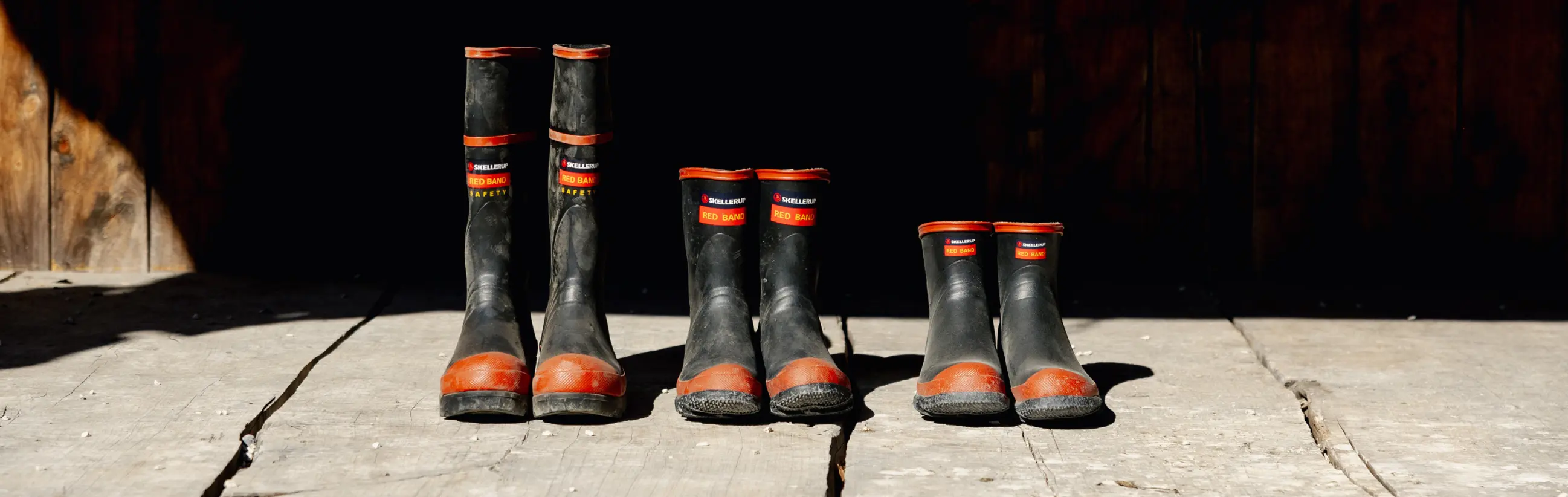 Four pairs of black rubber boots with red trim are standing in a row on a weathered wooden floor in front of a dark wooden wall, with sunlight shining on them.
