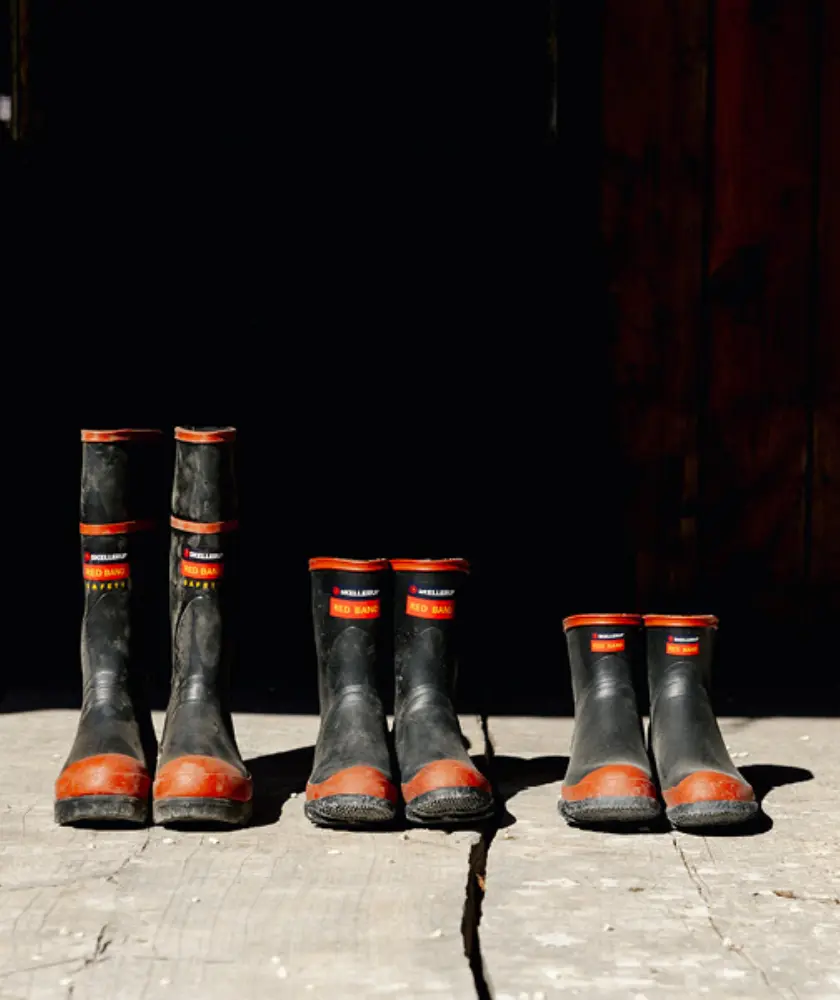Five pairs of black and red rubber boots, ranging from large to small, stand in a row on a wooden floor against a dark wooden wall, illuminated by sunlight.