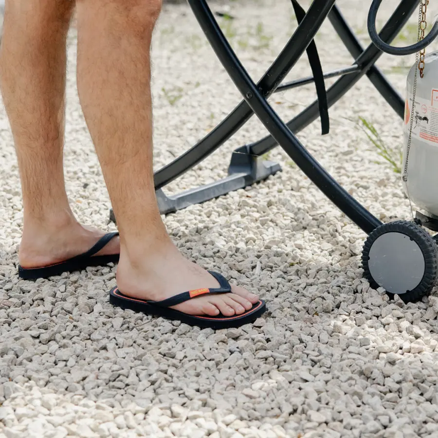 Red Bandal adult hover