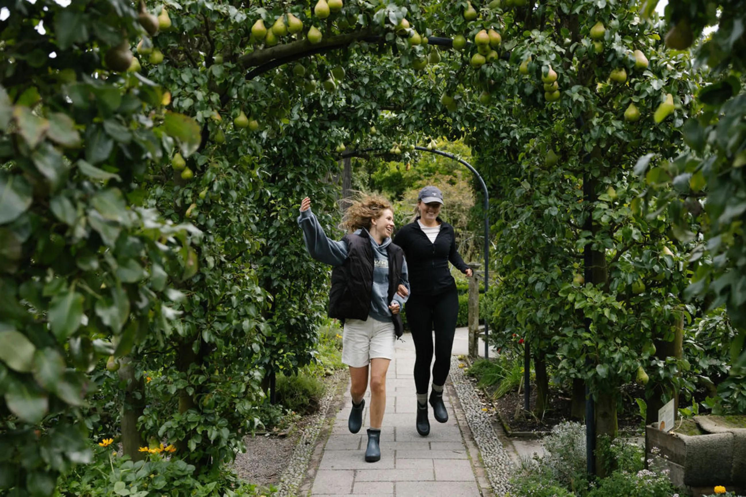 Two people joyfully run under arched trellises covered with green, fruit-laden branches in a lush garden. They are smiling, holding hands, and appear to be enjoying a lively outdoor moment together.