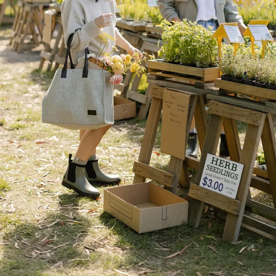 Meadow ankle 2 hover