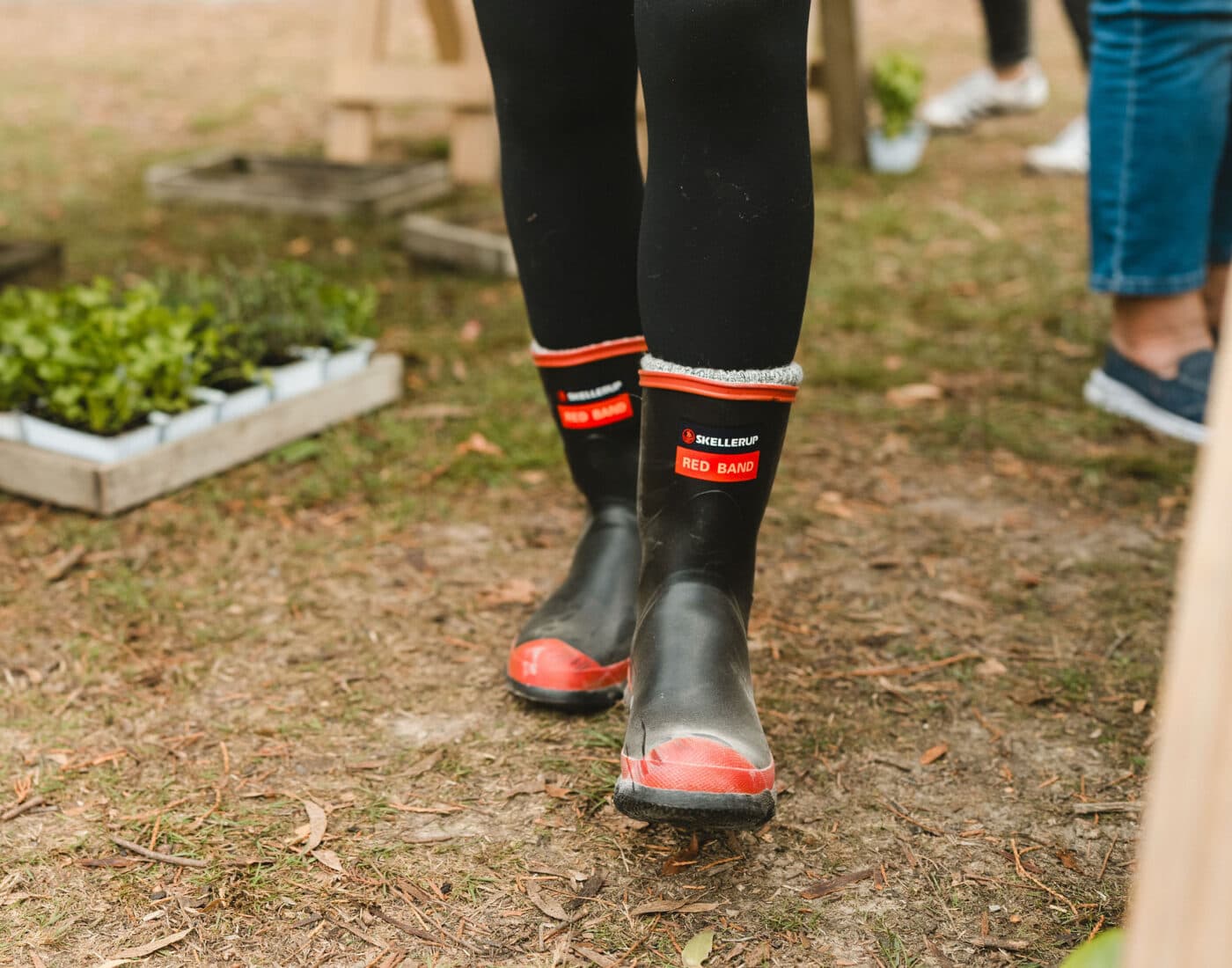 Person wearing black and red rubber boots standing on grass near trays of green seedlings; only legs and feet are visible, with other people and wooden crates in the background.